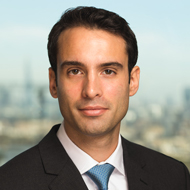  Riccardo Alonzi