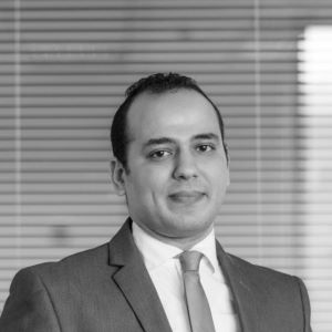  Mohamed Hashish